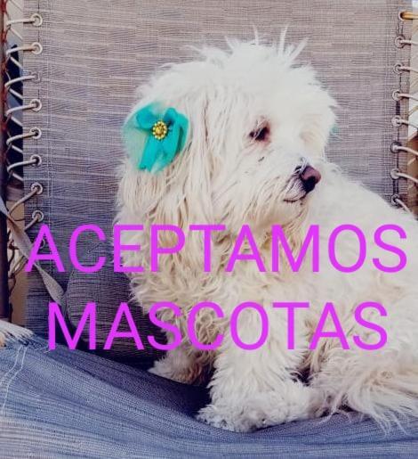Canela Apartment, Pet Friendly Puerto Penasco Ngoại thất bức ảnh